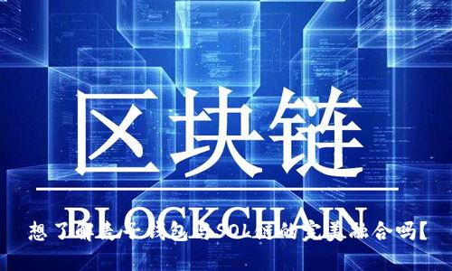 想了解麦子钱包与SOL链的完美融合吗？