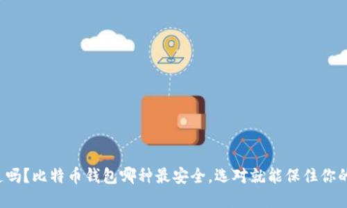 你知道吗？比特币钱包哪种最安全，选对就能保住你的资产！