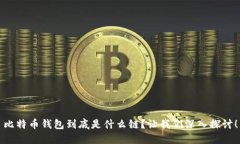比特币钱包到底是什么链