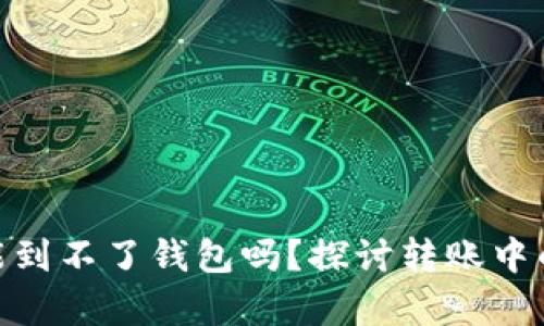 USDT真的没有可能到不了钱包吗？探讨转账中的疑惑与解决方案！