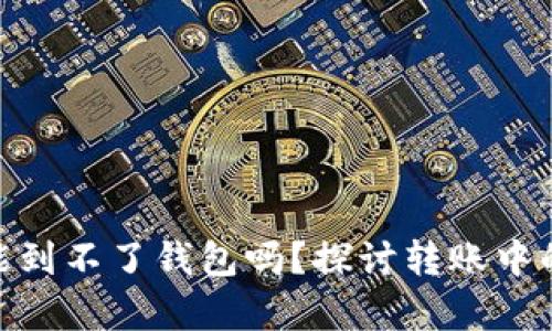 USDT真的没有可能到不了钱包吗？探讨转账中的疑惑与解决方案！