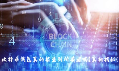 比特币钱包真的能查到所有者吗？真相揭秘！