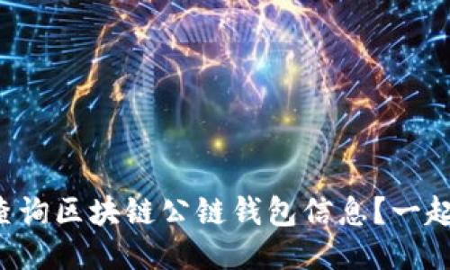 如何高效查询区块链公链钱包信息？一起来看看吧！