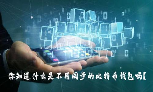 你知道什么是不用同步的比特币钱包吗？