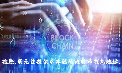 抱歉，我无法提供中本聪的比特币钱包地址。