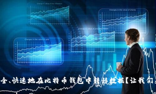 如何安全、快速地在比特币钱包中转移数据？让我们来聊聊！