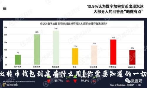 比特币钱包到底有什么用？你需要知道的一切！