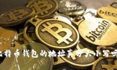 比特币钱包的地址真分大