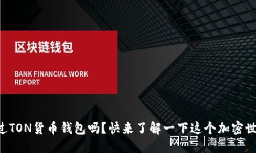 “你听说过TON货币钱包吗？快来了解一下这个加密世界新星！”