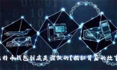 比特币钱包到底是谁做的