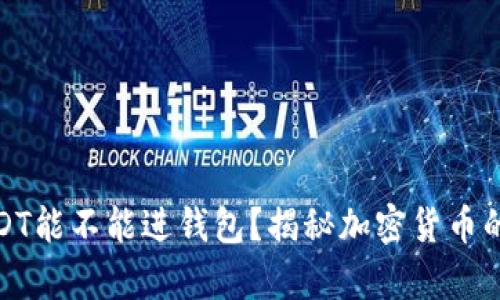 假USDT能不能进钱包？揭秘加密货币的真相