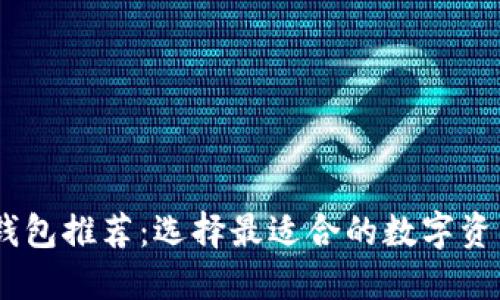 USDT互转钱包推荐：选择最适合的数字资产管理工具