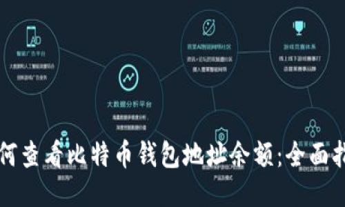 如何查看比特币钱包地址余额：全面指南