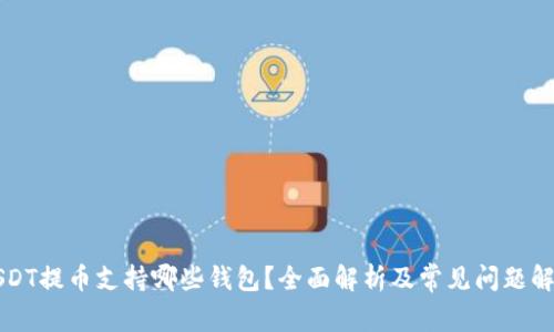 USDT提币支持哪些钱包？全面解析及常见问题解答