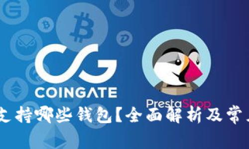 USDT提币支持哪些钱包？全面解析及常见问题解答