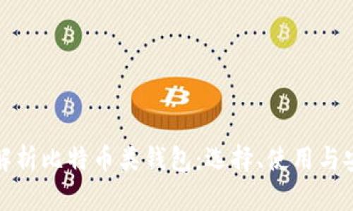 全面解析比特币类钱包:选择、使用与安全性