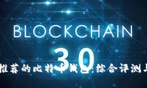 苹果用户推荐的比特币钱包：综合评测与选择指南