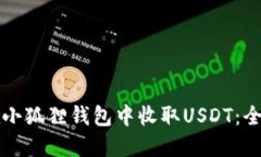 如何在小狐狸钱包中收取USDT：全面指南