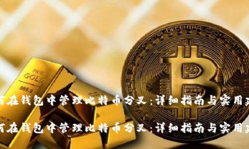 如何在钱包中管理比特币分叉：详细指南与实用建议

如何在钱包中管理比特币分叉：详细指南与实用建议