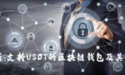 全面解析：支持USDT的区块链钱包及其使用指南