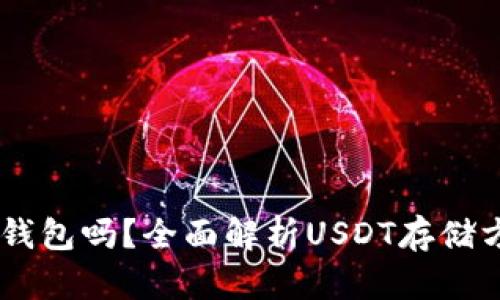 USDT可以放入钱包吗？全面解析USDT存储方式与钱包选择
