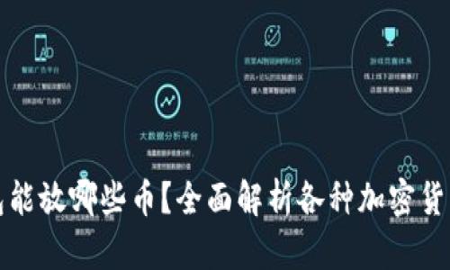 比特币钱包能放哪些币？全面解析各种加密货币支持情况