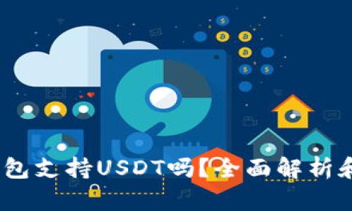 Wasabi钱包支持USDT吗？全面解析和使用指南