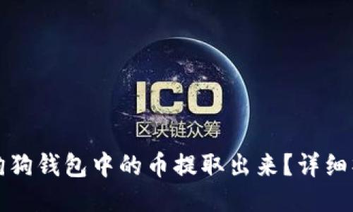 如何将狗狗钱包中的币提取出来？详细操作指南