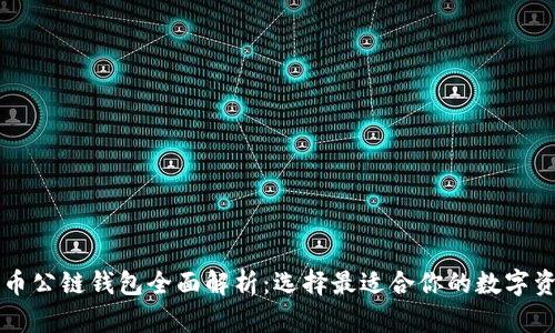 以太坊与火币公链钱包全面解析：选择最适合你的数字资产管理工具