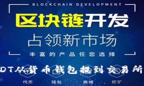 如何将USDT从货币钱包提到交易所：详细指南