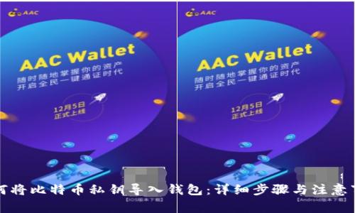 如何将比特币私钥导入钱包：详细步骤与注意事项