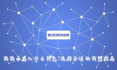 狗狗币存入什么钱包?选择合适的钱包指南