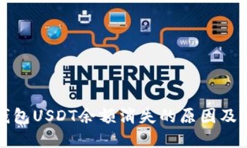 小狐狸钱包USDT余额消失的原因及解决方案