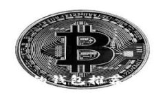 支持USDT的钱包推荐与使用指南